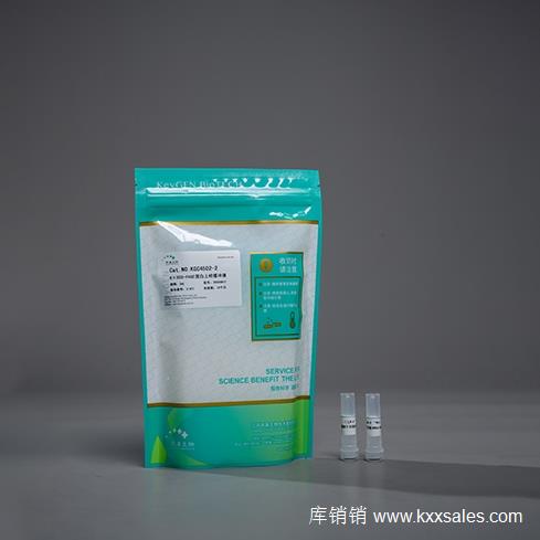 凯基生物  6×SDS-PAGE蛋白上样缓冲液   KGC4502-2