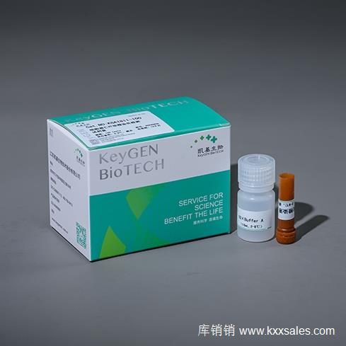凯基生物  吖啶橙AO染色试剂盒  KGA1811-100